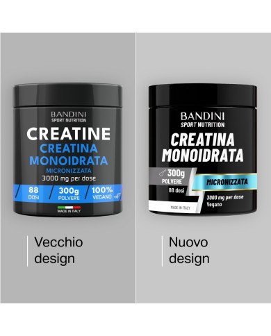 Monohydrate de Créatine Micronisée – Poudre