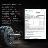 Creatina Monohidratada Micronizada – Polvo