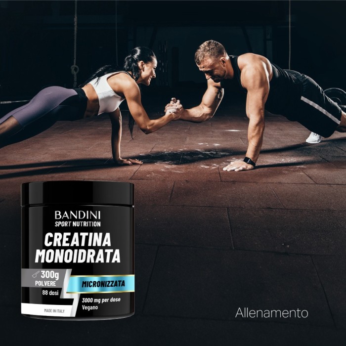 Micronized Creatine Monohydrate – Powder