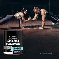 Micronized Creatine Monohydrate – Powder