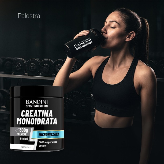 Micronized Creatine Monohydrate – Powder