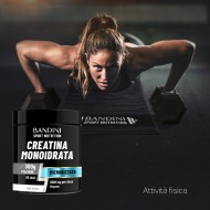 Creatina Monohidratada Micronizada – Polvo