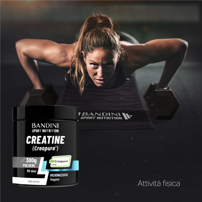 Creapure® Micronized Creatine – Powder 300g