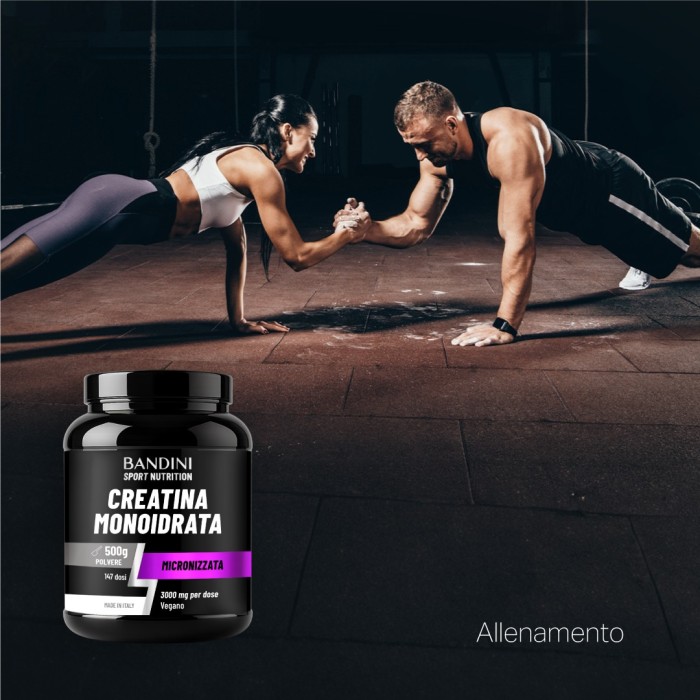 Bandini® - Creatine Monohydrate - Powder 500g