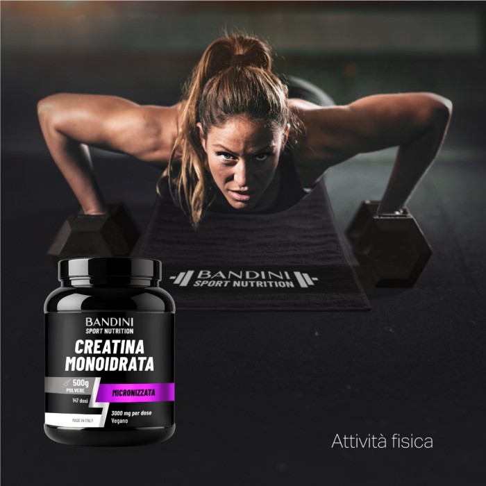 Bandini® - Créatine Monohydrate - Poudre 500g