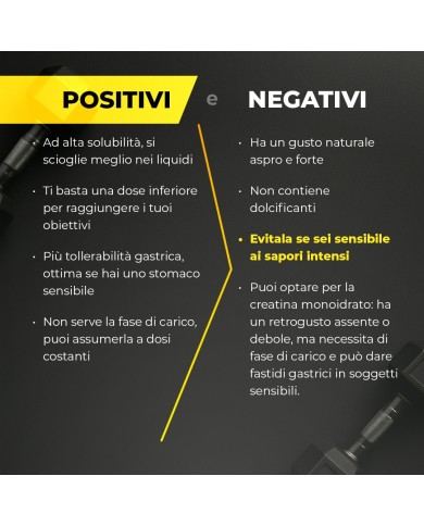 Bandini® - Creatina HCL – Polvo 300g