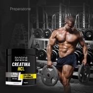 Bandini® - Kreatin HCL – Pulver 300g