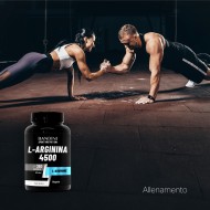 L-Arginine 4500 mg – 360 Gélules