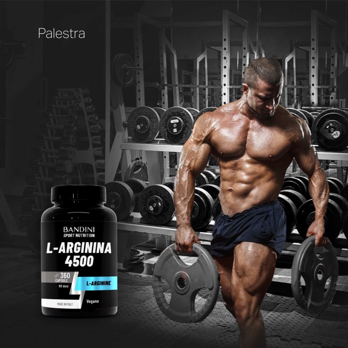 L-Arginine 4500 mg – 360 Gélules