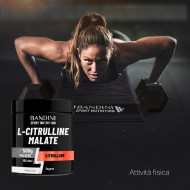 Bandini® - Citrulline Malate – 500 g