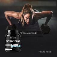 Bandini® - Dextrines Cycliques - Cluster Dextrin™ – Poudre 1kg