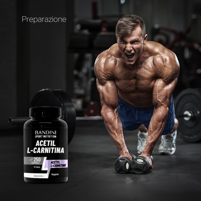 Bandini® Acetil L-Carnitina – 250 Cápsulas