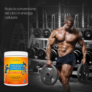 Bandini® - Energia Express – 600g