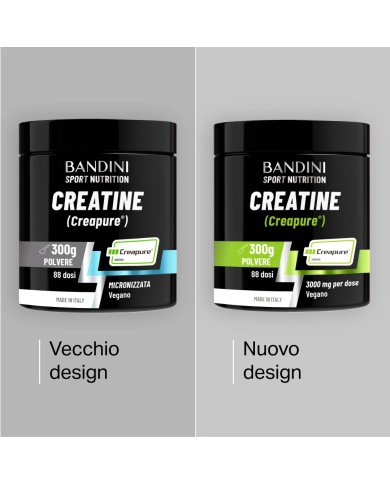 Bandini® - Creatina Creapure® – Polvere BANDINI PT01