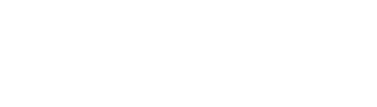 Bandini Sport Nutrition Logo