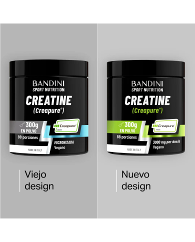 Creatina Creapure® – Polvo BANDINI PT01