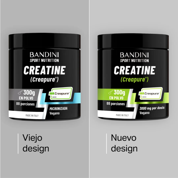 Creatina Creapure® – Polvo BANDINI PT01