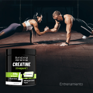 Creatina Creapure® – Polvo BANDINI PT02