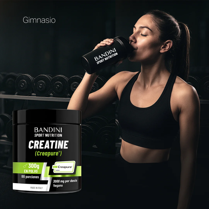 Creatina Creapure® – Polvo BANDINI PT03