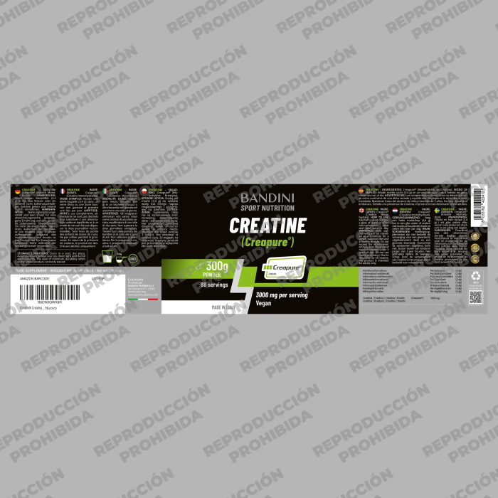 Creatina Creapure® – Polvo BANDINI PT04