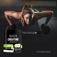 Creatina Creapure® – Polvo BANDINI PT07
