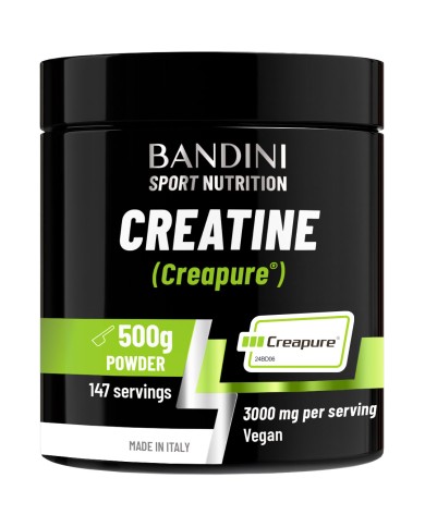 Creapure® Creatine – Powder BANDINI MAIN